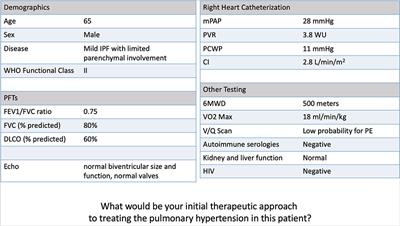 Prescription Patterns for Pulmonary Vasodilators in the Treatment of Pulmonary Hypertension Associated With Chronic Lung Diseases: Insights From a Clinician Survey